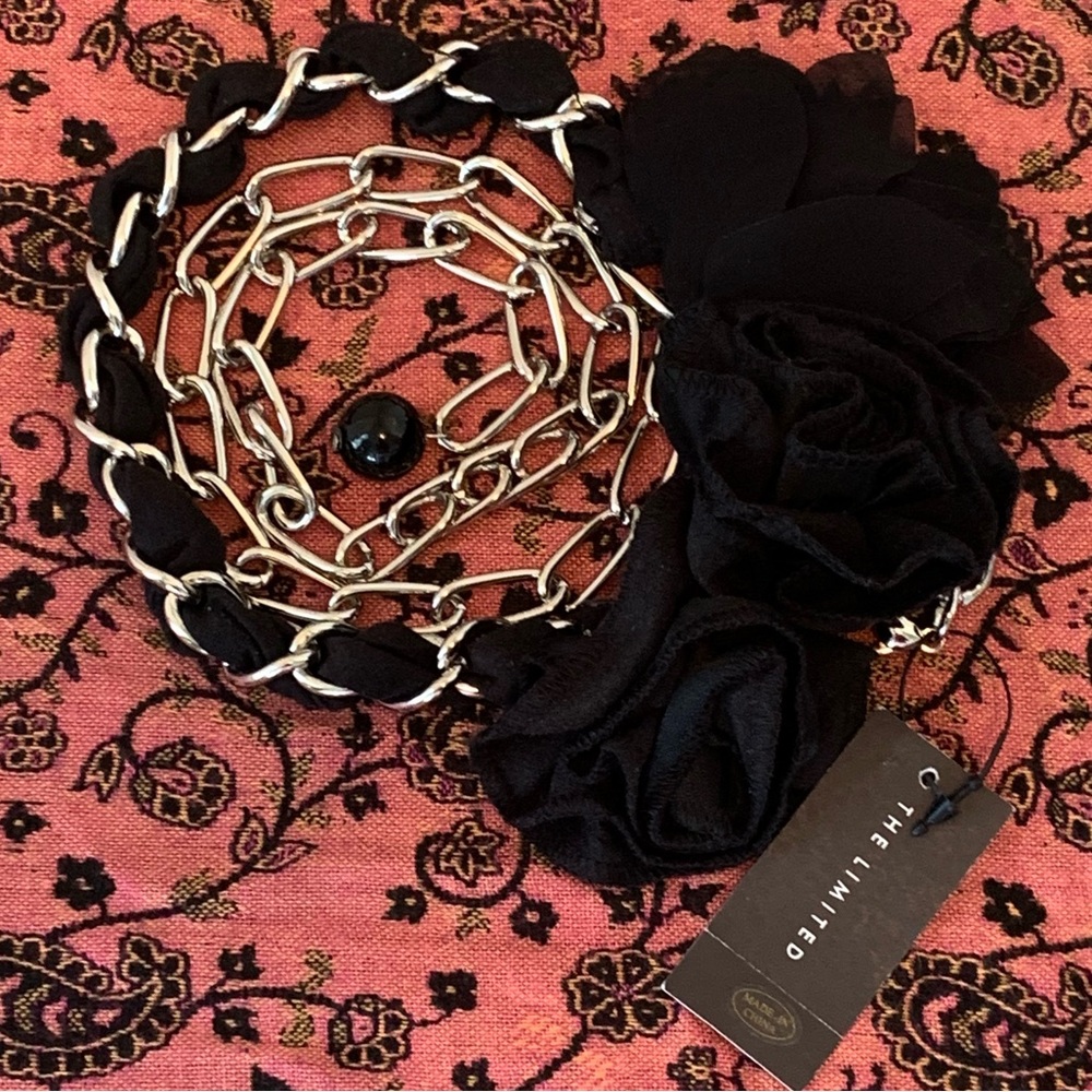 *NWT* The Limited Chain Link Belt - Picture 2 of 9